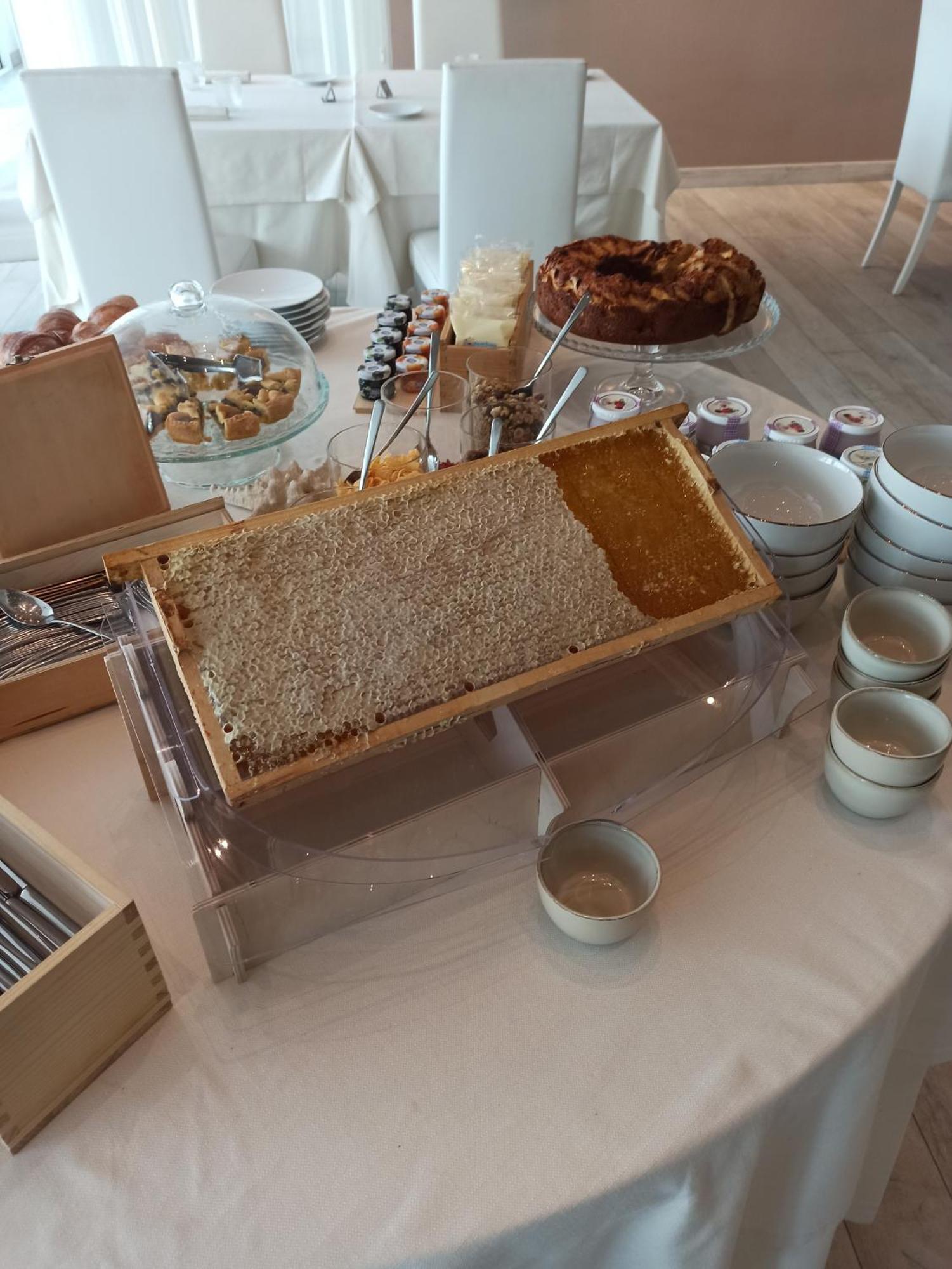 Elite Boutique Hotel 阿布鲁齐的罗塞托 外观 照片